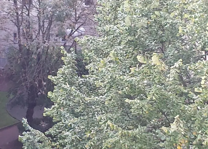 Couette-café Emmanuel&béatrice *