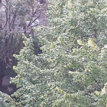 Bed & Breakfast Emmanuel & Beatrice *